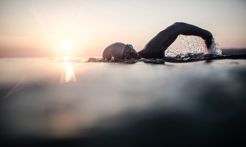 How Strong Brands Endure the Unexpected